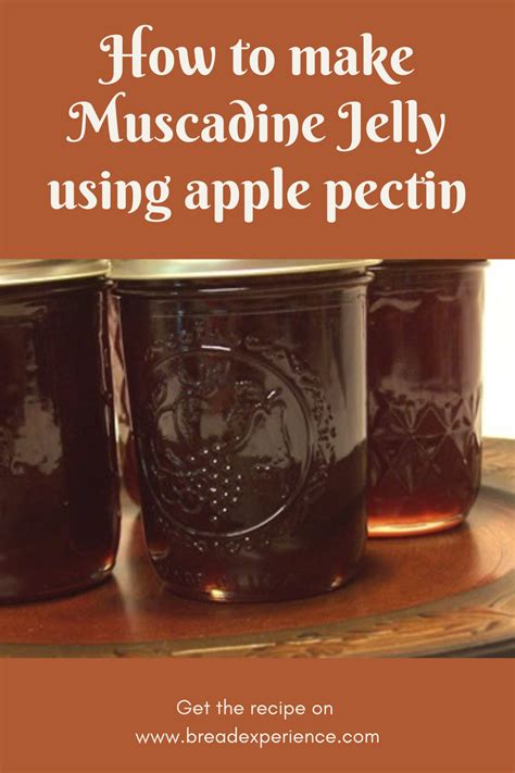 Ball Canning Muscadine Jelly Recipe | Deporecipe.co