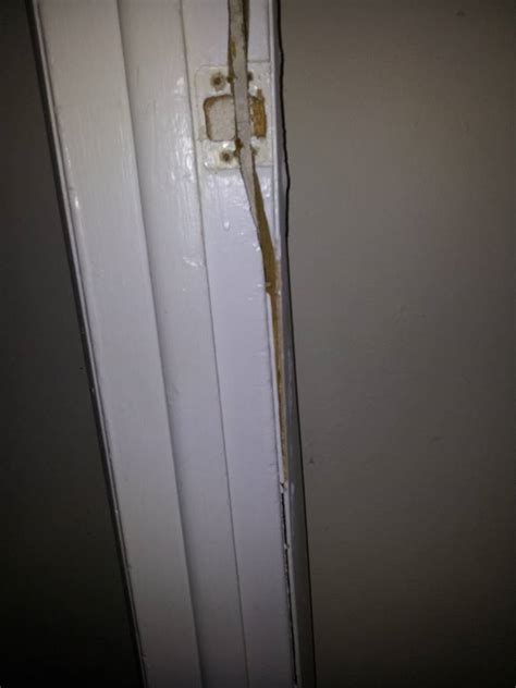 Repair Door Frame - Windows and Doors - DIY Chatroom Home Improvement Forum