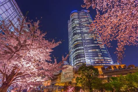 The Top Things to Do in Roppongi, Tokyo