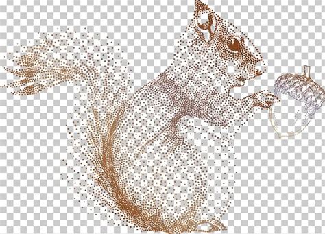 Squirrel Acorn Drawing Illustration PNG, Clipart, Animal Illustration, Animals, Cartoon Animals ...