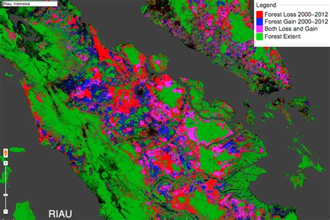 Deforestation accelerates in Indonesia, finds Google forest map