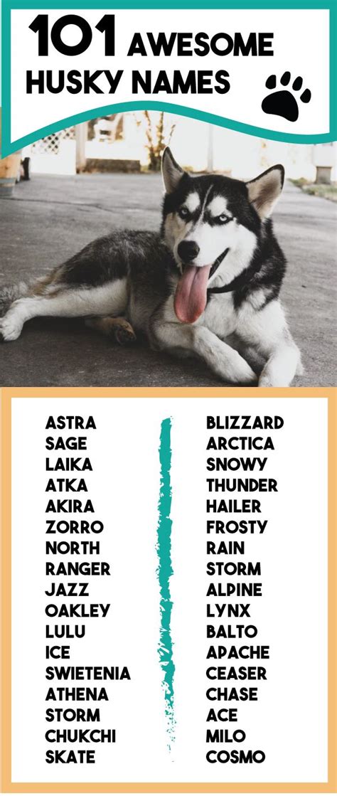 Siberian Husky Names | Husky names, Siberian husky names, Husky