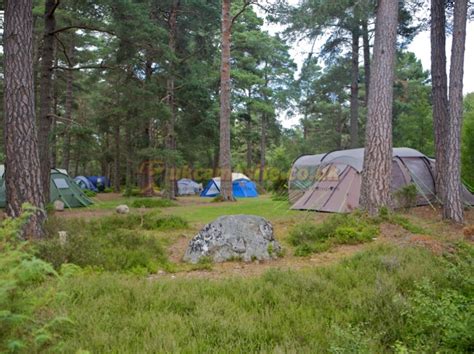 15 Campsites near Aviemore, Inverness-shire | All Aviemore Camping Sites