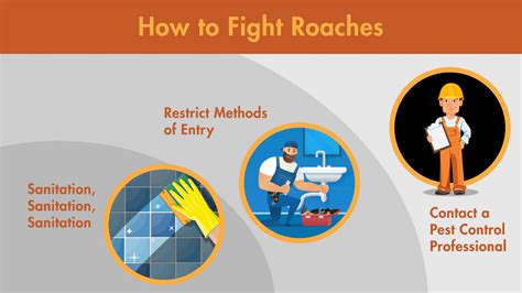 Far from Picky: Why Roaches Infest Anywhere and Everywhere - Lloyd Pest ...