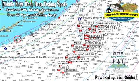 Middle Keys Deep Drop Fishing Spots | Florida Fishing Maps for GPS