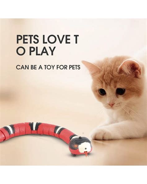 Smart Sensing Interactive Cat Toys Automatic Eletronic Snake Cat Teasering Play USB Rechargeable ...