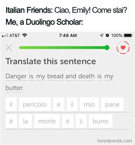 Duolingo Memes Make You Think Twice About Missing Your Spanish Test