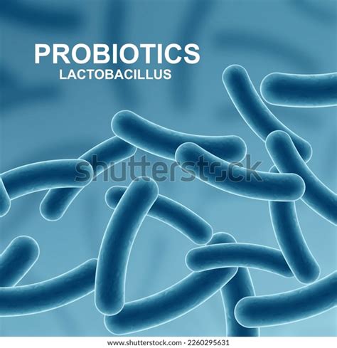 6,579 Fermentation Lactobacillus Images, Stock Photos & Vectors | Shutterstock