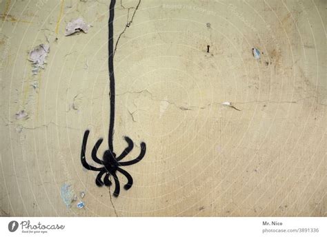 Graphite spider graffiti - a Royalty Free Stock Photo from Photocase