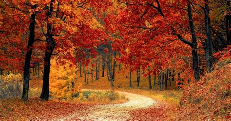 ¿Cuándo empieza el otoño y cuánto dura?