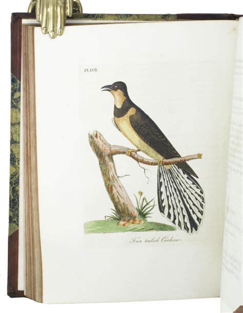 A General History of Birds, 11 volumes, complete with index, bound in – Natural History Books