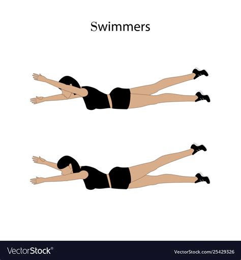 Swimmers exercise Royalty Free Vector Image - VectorStock