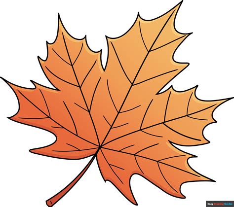 How to Draw a Maple Leaf - Really Easy Drawing Tutorial