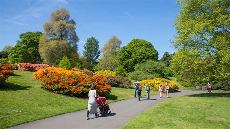 Royal Botanic Garden Edinburgh - National Tree Collections of Scotland