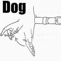 dog-in-sign-language - Hayes Haus