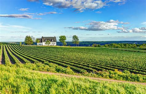 Landscape view of farm in Ile D’Orleans, Quebec, Canada with house ...