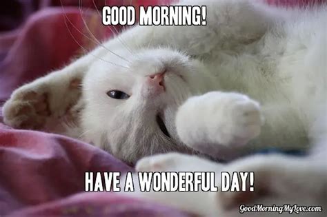 32 Good Morning Memes for Her, Him & Friends - Funny & Beautiful