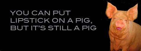 Whats Putting Lipstick On A Pig Mean | Lipstutorial.org