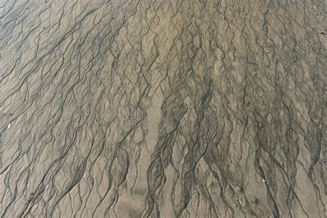 Ripple marks on sand beach stock image. Image of sandy - 134766581