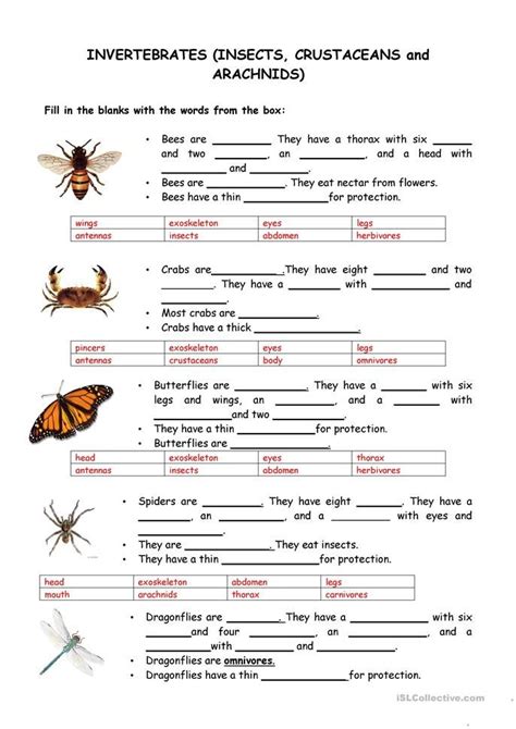 Animals-Vertebrates and Invertebrates | Vertebrates and invertebrates, Invertebrates, Vertebrates