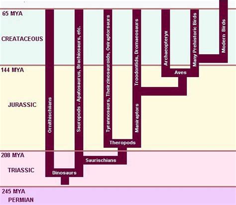 Famille Dinosauria | Feathered dinosaurs, Dinosaur, Family tree