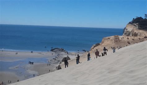 Sandboarding in Oregon: Florence and the Oregon Coast - Surf The Sand