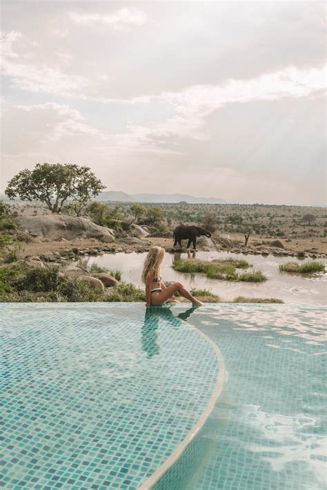 Experience the Best Luxury Safari Lodge in the Serengeti - Brown Eyed Flower Child