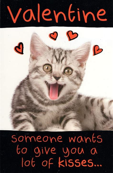 Funny Lots Of Kisses Kitten Valentine's Day Greeting Card | Cards