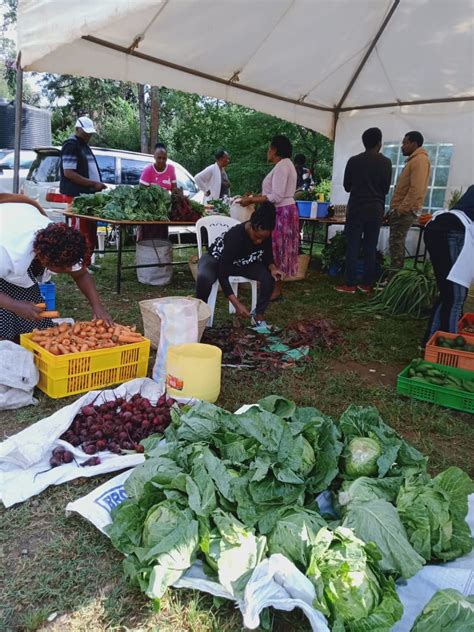 Our organic Farmers Market - Community Sustainable Agriculture and Healthy Enviroment Program ...