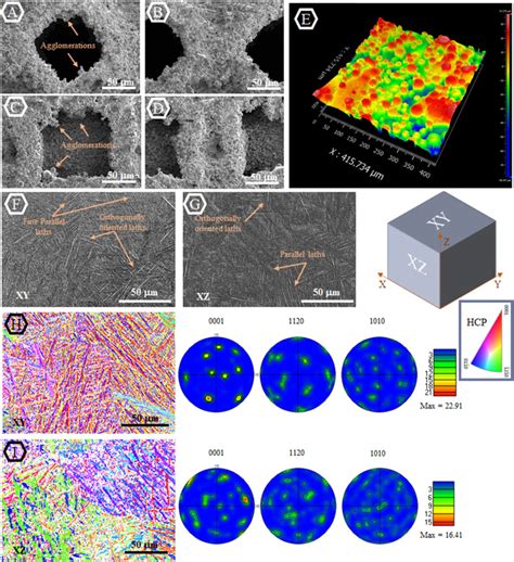 Amira-Avizo Software | Use Case Gallery | Thermo Fisher Scientific