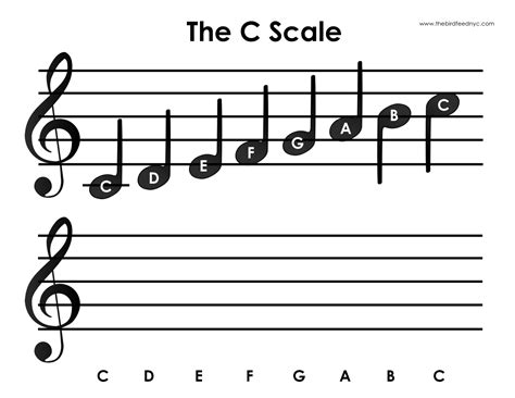 C Major Scale Activity for Kids in 2022 | C major, Major scale, Music notes