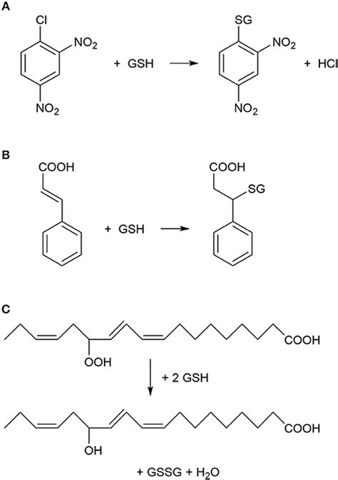 Frontiers | Glutathione S-Transferase Enzymes in Plant-Pathogen Interactions