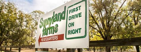 Sunnyland-Farms-600x393 _ ILovePecans