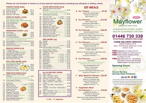 Menu at Mayflower Chinese Takeaway fast food, Barry