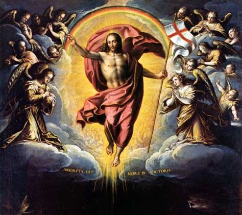 A Catholic Life: The Errors of Reincarnation: Reincarnation versus a Glorious Bodily Resurrection