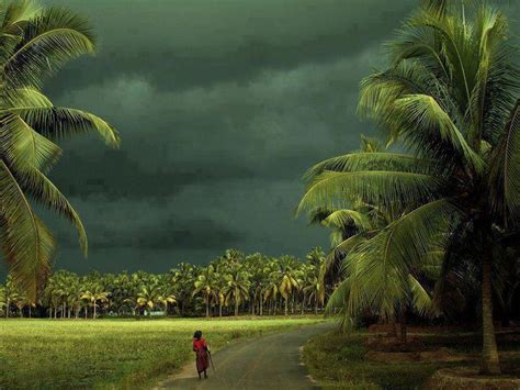 Monsoon in Kerela, India | Kerala, Amazing india, Nature