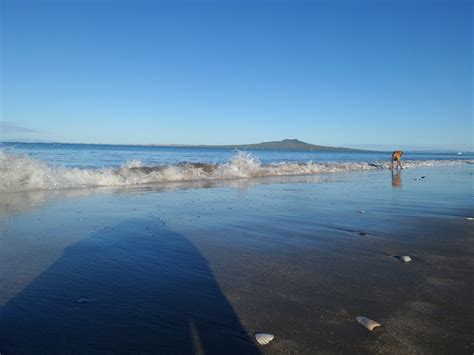 Exploring the Milford Beach Reserve