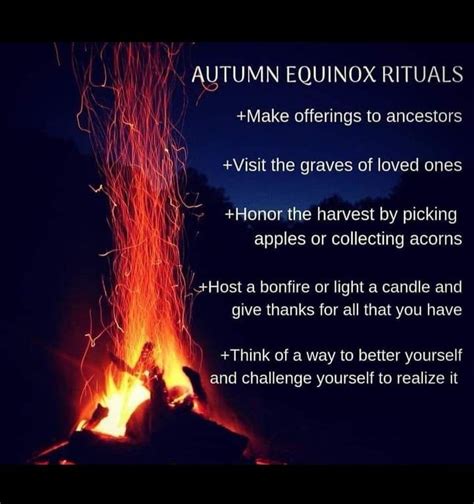 Autumn Equinox Rituals in 2022 | Autumn equinox ritual, Rituals, Equinox