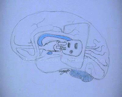 Exploring Neuroscience Through Art: #Brain Drawing for World #Autism Day