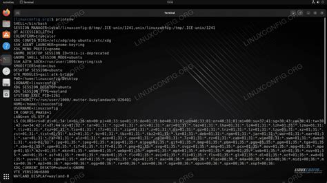 How to print environment variables on Linux - Linux Tutorials - Learn Linux Configuration