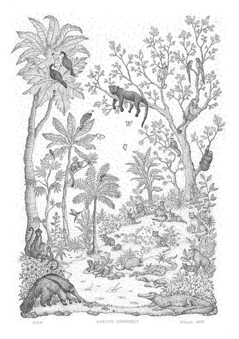 Amazon rainforest Drawing by Jessica Jane | Saatchi Art