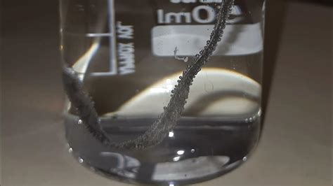 Reaction of magnesium with warm water | Middle school chemistry | Khan ...