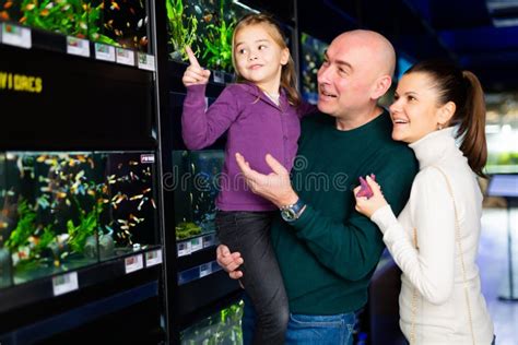 Happy Family Choosing Aquarium Fish Stock Photo - Image of emotions ...