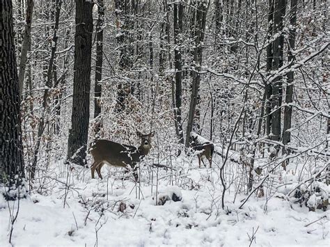 Where to Go Hiking During Minnesota Winter—and Love It - Little Blue Backpack