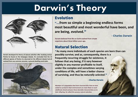 What Darwin Never Knew Blog Post | Aurora's Blog