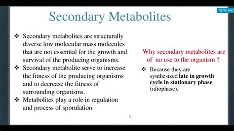 Metabolites Examples