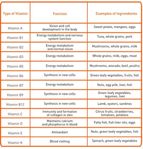 Types of Nutrients and Their Functions