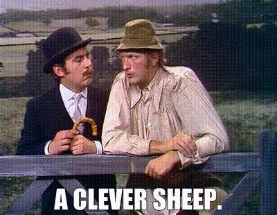 YARN | A clever sheep. | Monty Python's Flying Circus (1969) - S01E02 ...