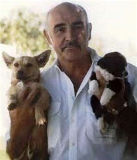 an older man holding two small dogs in his arms