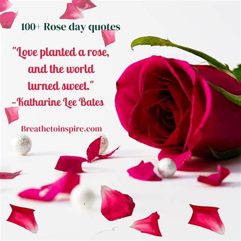 150+ Rose Day Quotes, Wishes, Messages, Activities, Greetings, Jokes, Puns, Pickup Lines And ...